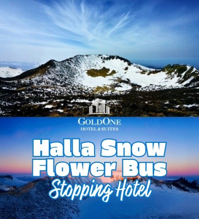 Winter Jeju Done Rig…