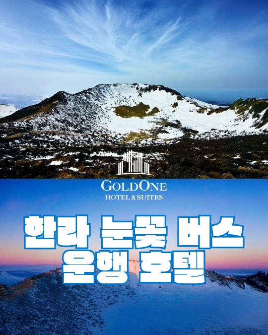 1ad040357f92ac0862c90736d92c527a_1768236029_6131.jpeg 1ad040357f92ac0862c90736d92c527a_1768236029_6131.jpeg